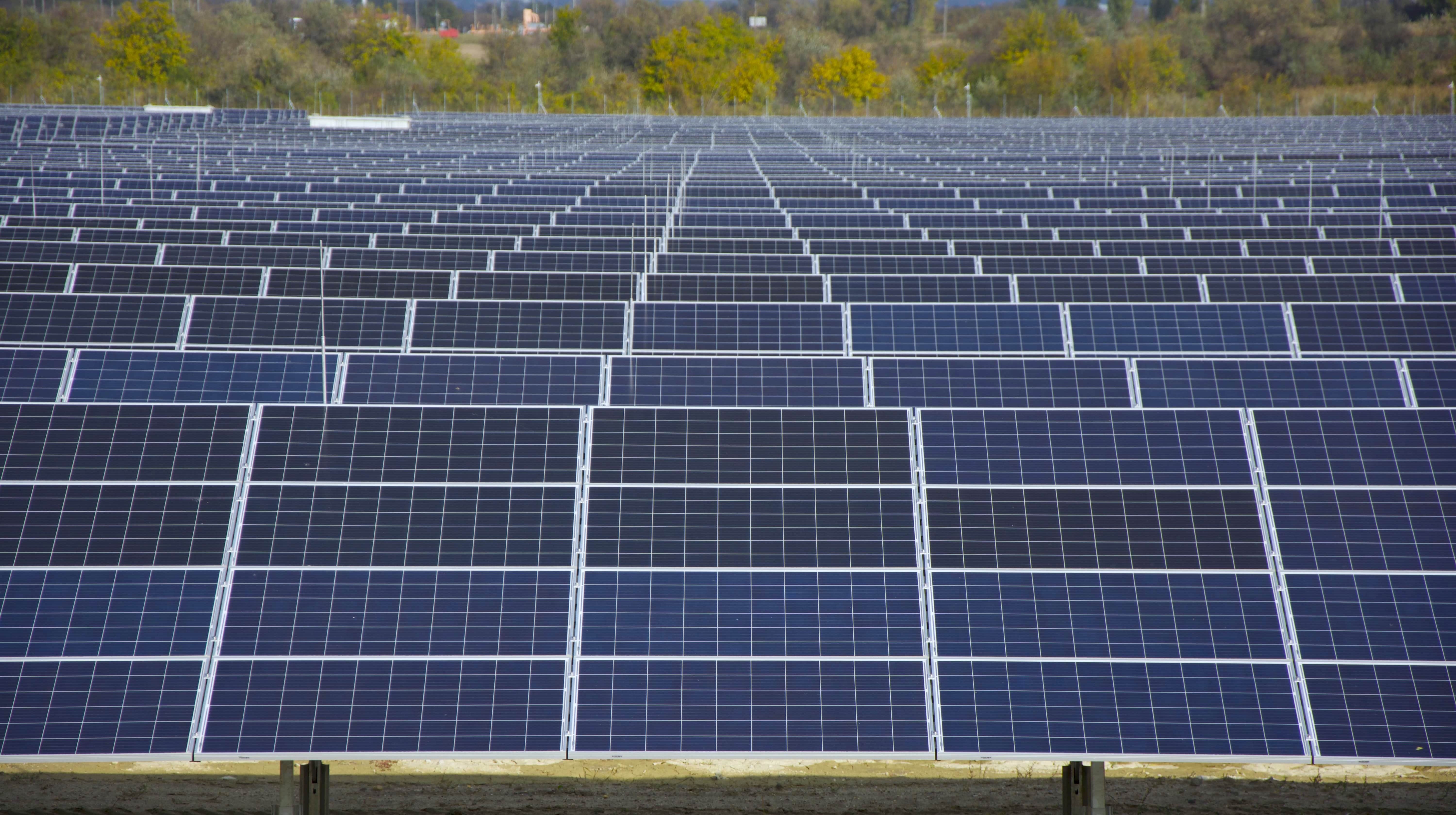 Climate Impact Report Website Photo